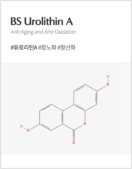 BS Ubiquinone 썸네일