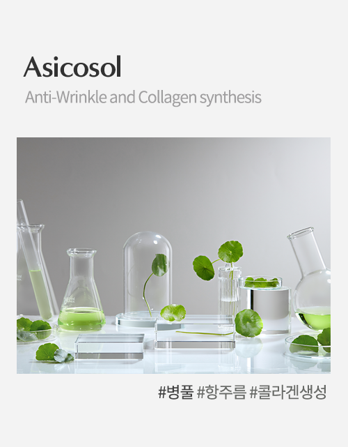 BS Asiaticoside Image